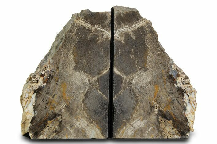 Petrified Wood (Oak) Bookends - Oregon #382147